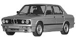 BMW E28 P0A5E Fault Code